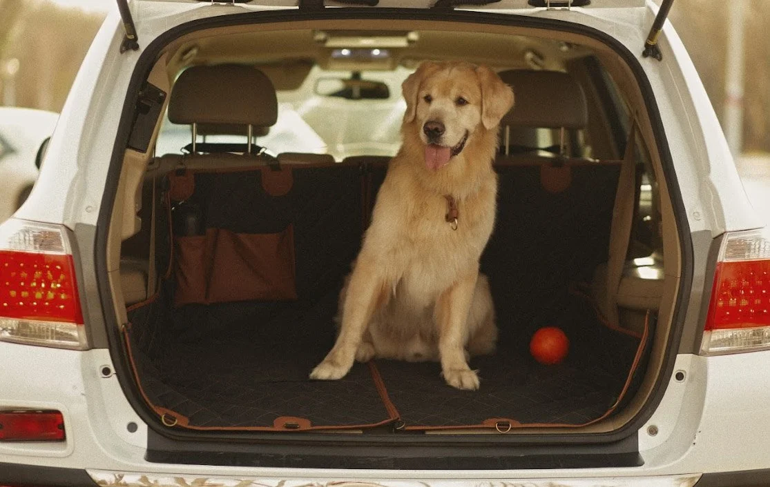 Chevrolet Trax back seat cover for St. Bernards