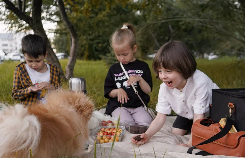 large picnic blankets