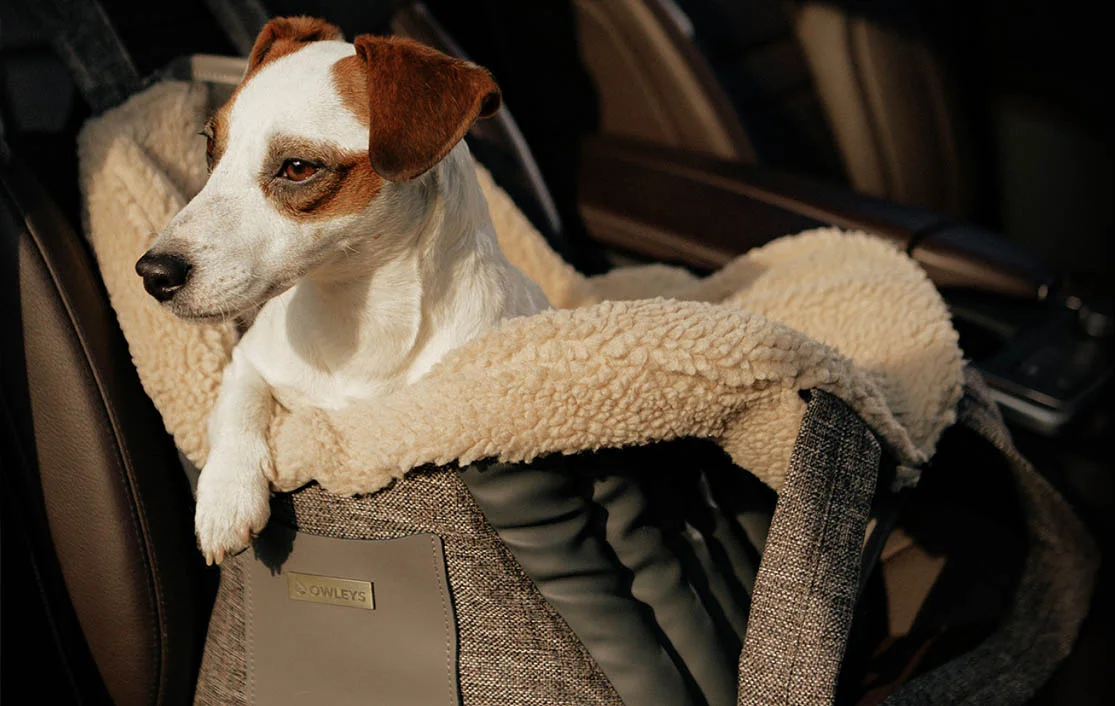 Prague Ratter Dog Carrier Car Seat for Lexus RX