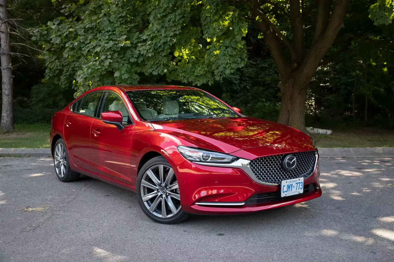 pet seat cover for Mazda6