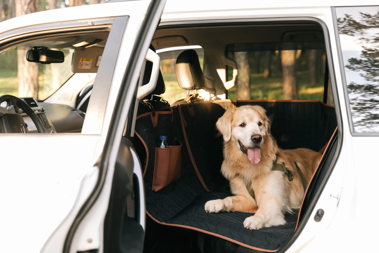 pet seat cover for Mazda6