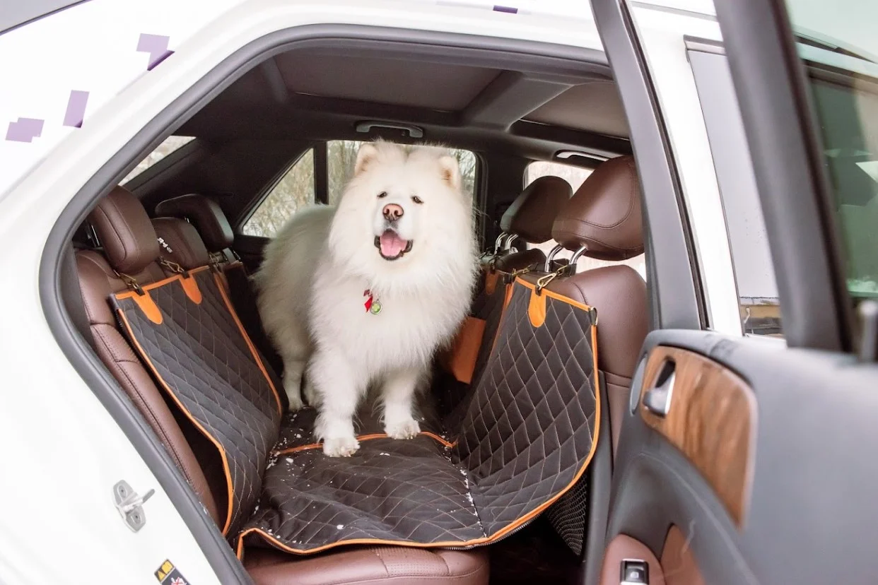 pet seat cover for Mazda6