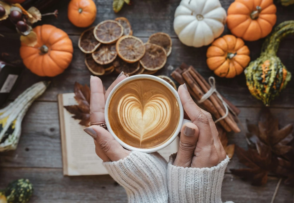 espresso and coffee maker combination